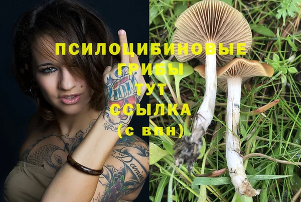 apvp Ладушкин
