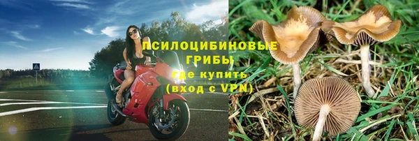 спиды Лабытнанги