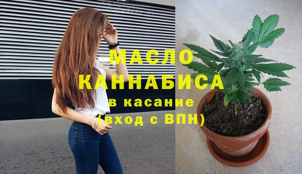 сатива Новочеркасск
