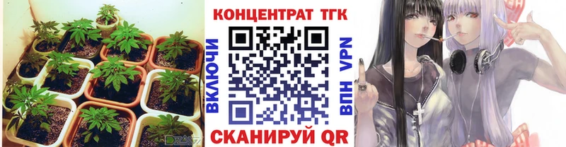 ТГК Wax  kraken ONION  Дно 